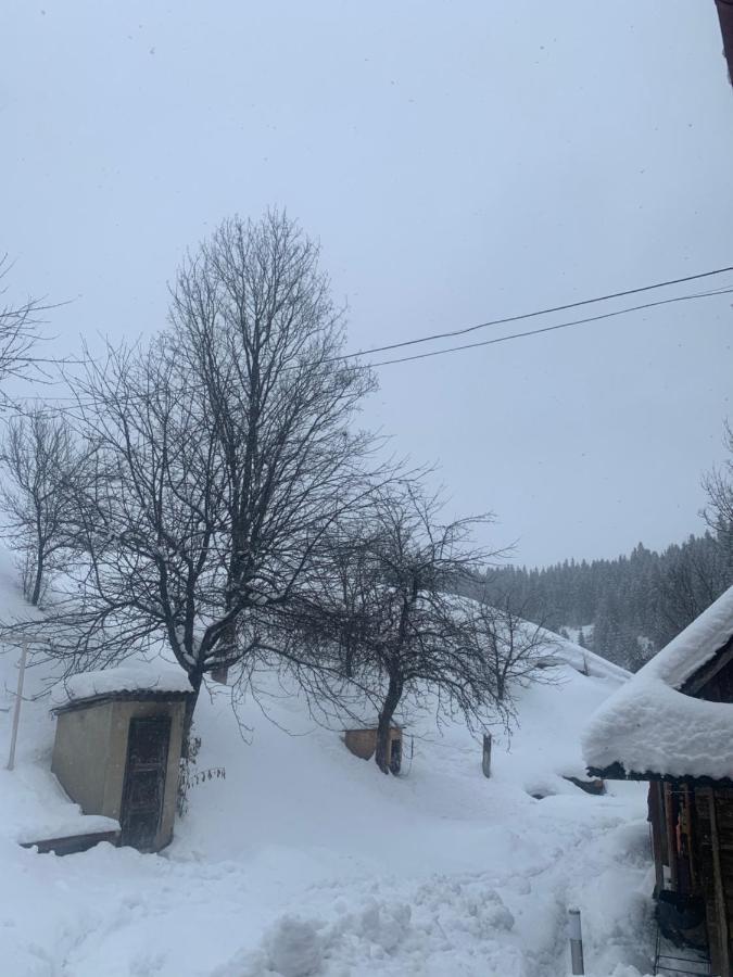 Cottage house 포도보베츠 외부 사진