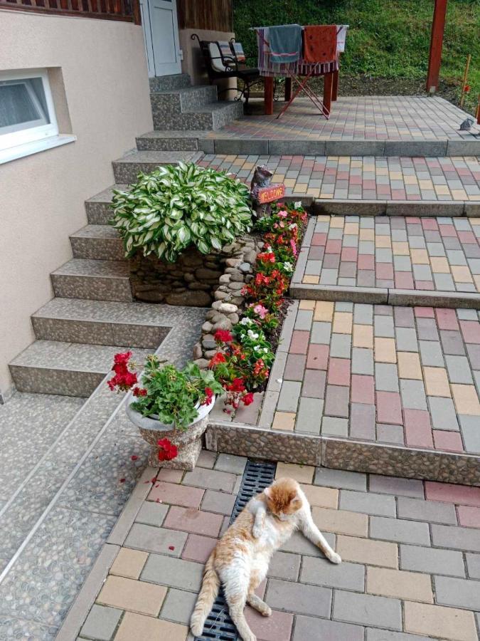 Cottage house 포도보베츠 외부 사진